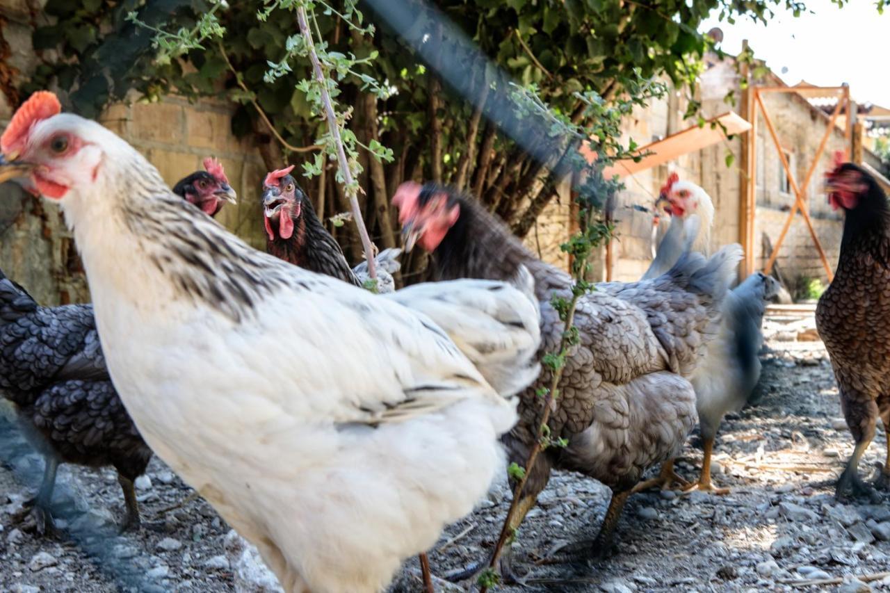 Agriturismo Tenuta Fonte Mosco' Ponzano di Fermo Exterior foto