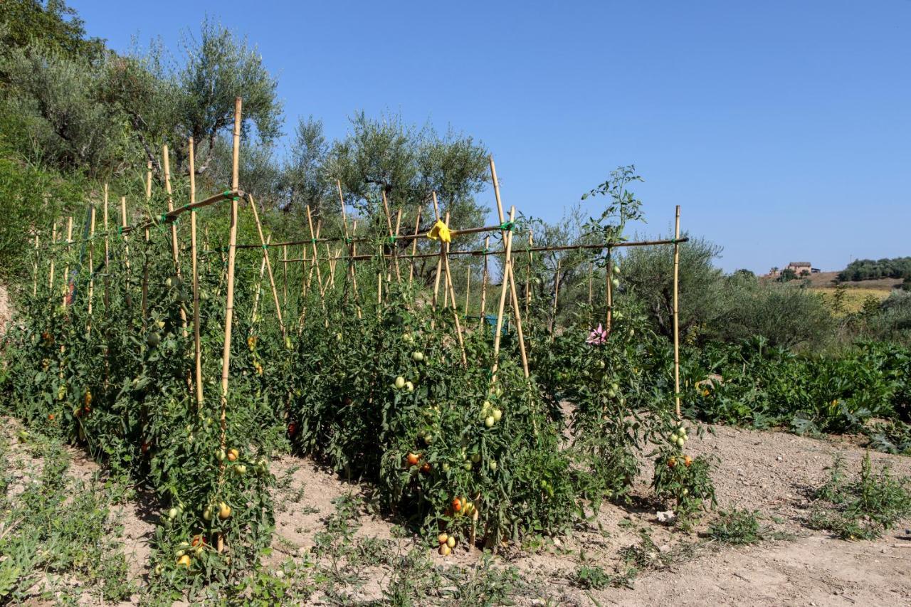 Agriturismo Tenuta Fonte Mosco' Ponzano di Fermo Exterior foto