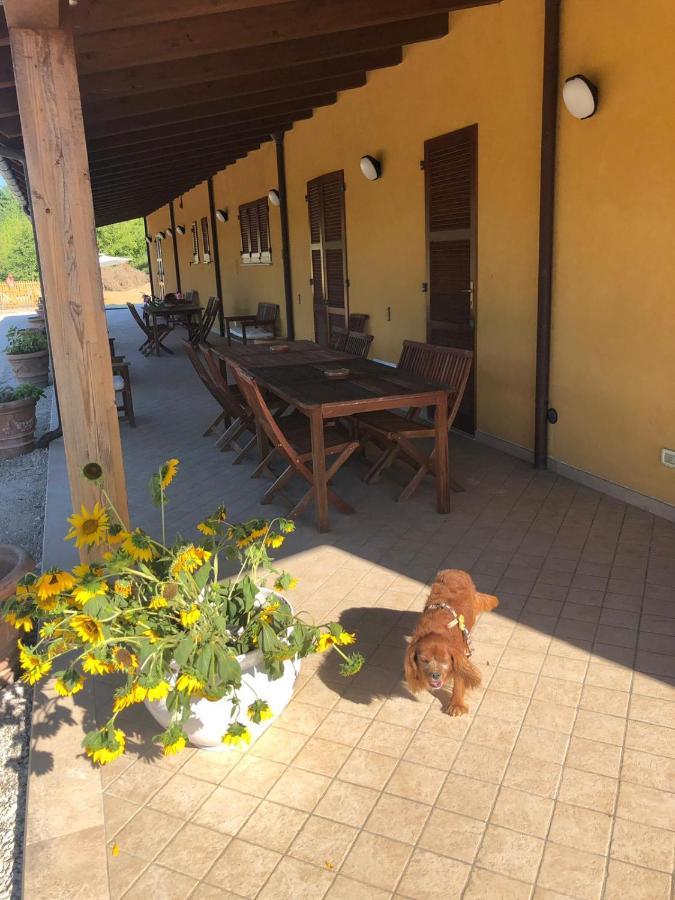 Agriturismo Tenuta Fonte Mosco' Ponzano di Fermo Exterior foto